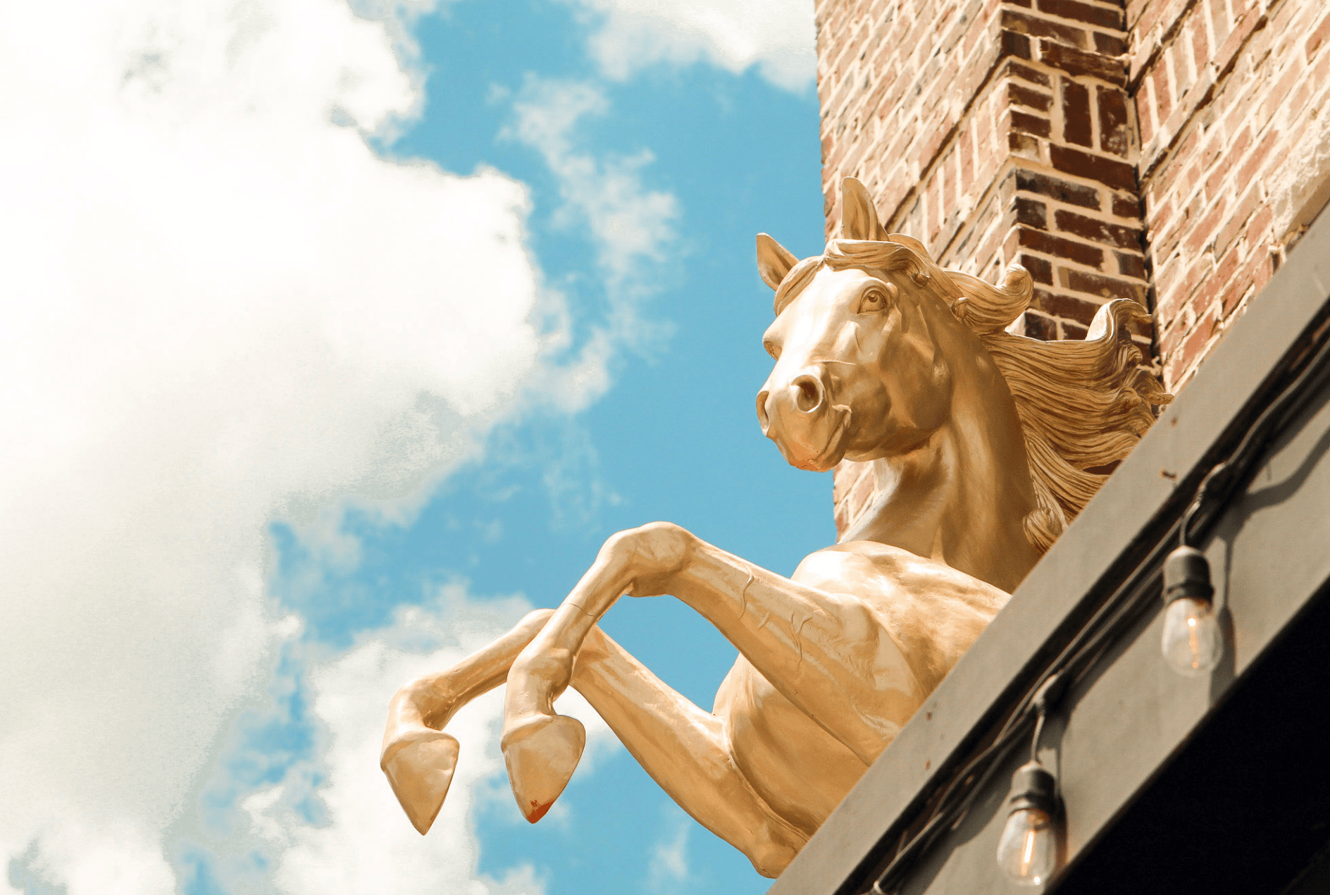 Gold horse